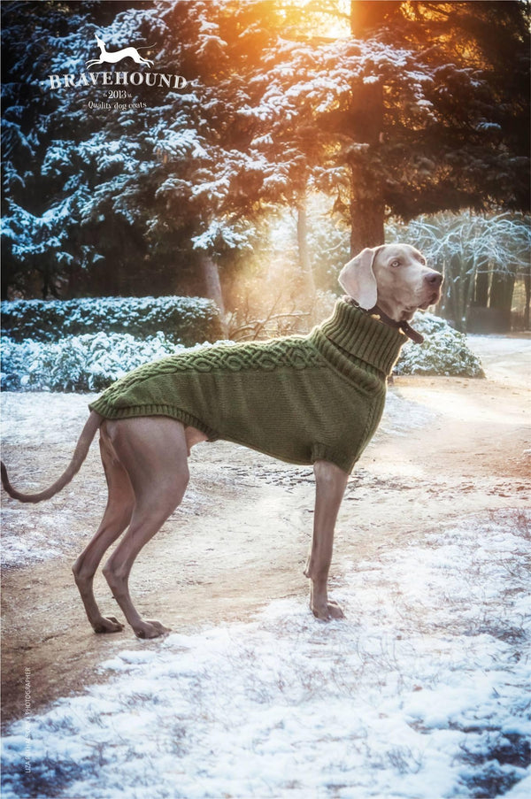 Weimaraner handknit sweaters - Red Bark Shop