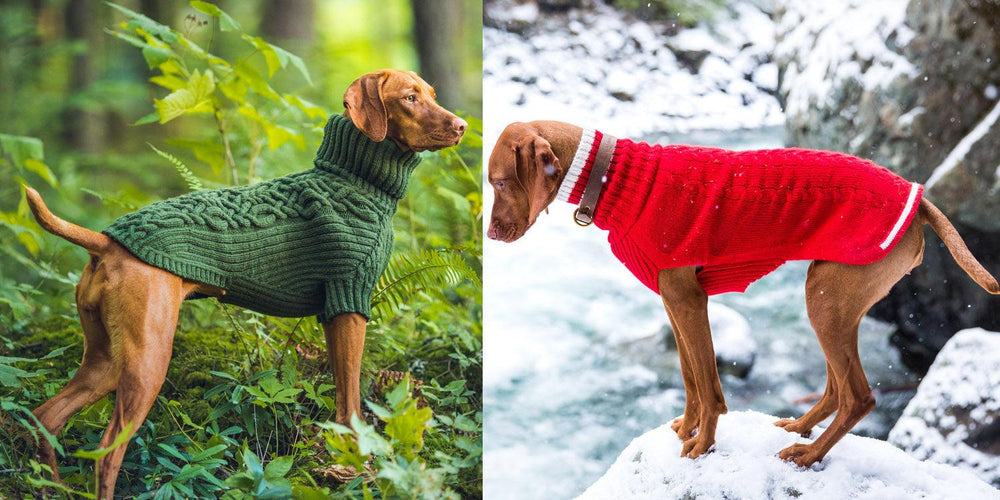 Cheap dog sweaters Vs Quality Canine sweaters: Differences to know - Red Bark Shop