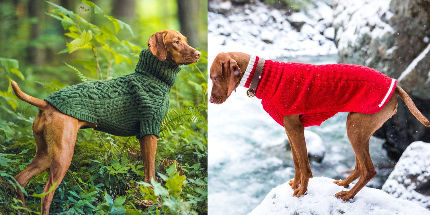 Cheap dog sweaters Vs Quality Canine sweaters Differences to know