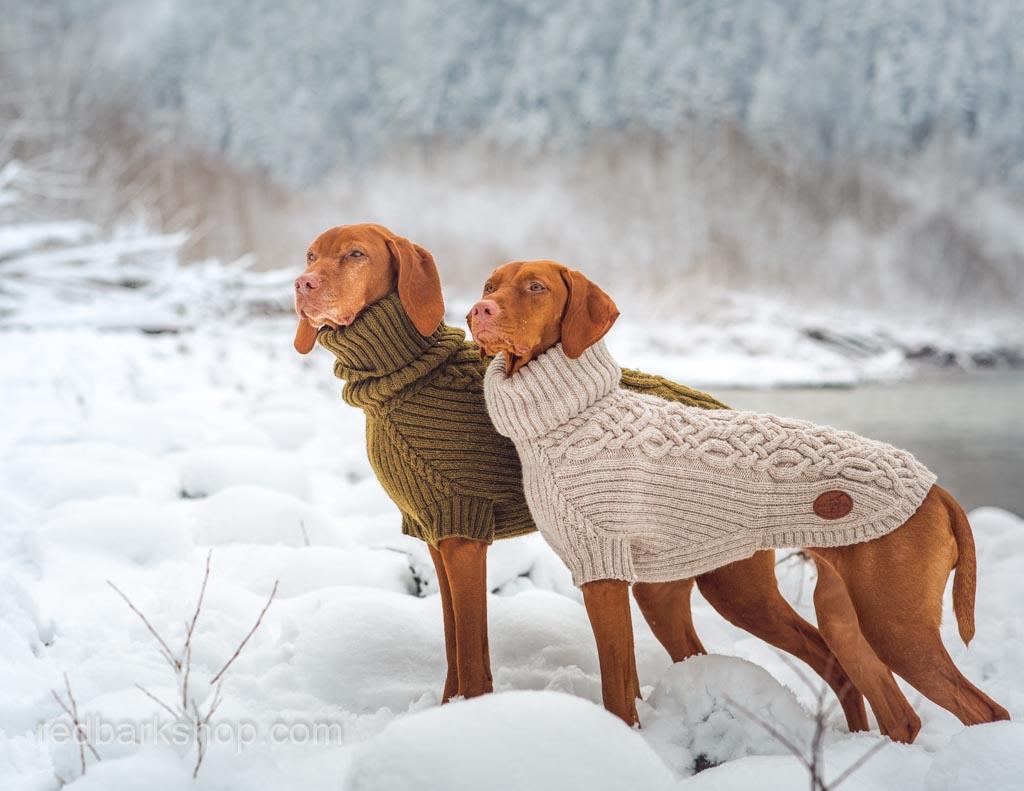 The Best Winter Knitted Dog Sweaters - Red Bark Shop