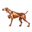 Red Bark Shop logo