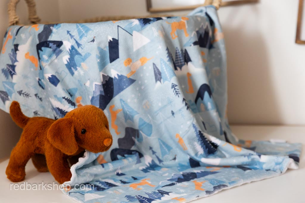 Rocky Mountain Vizsla Baby Blanket