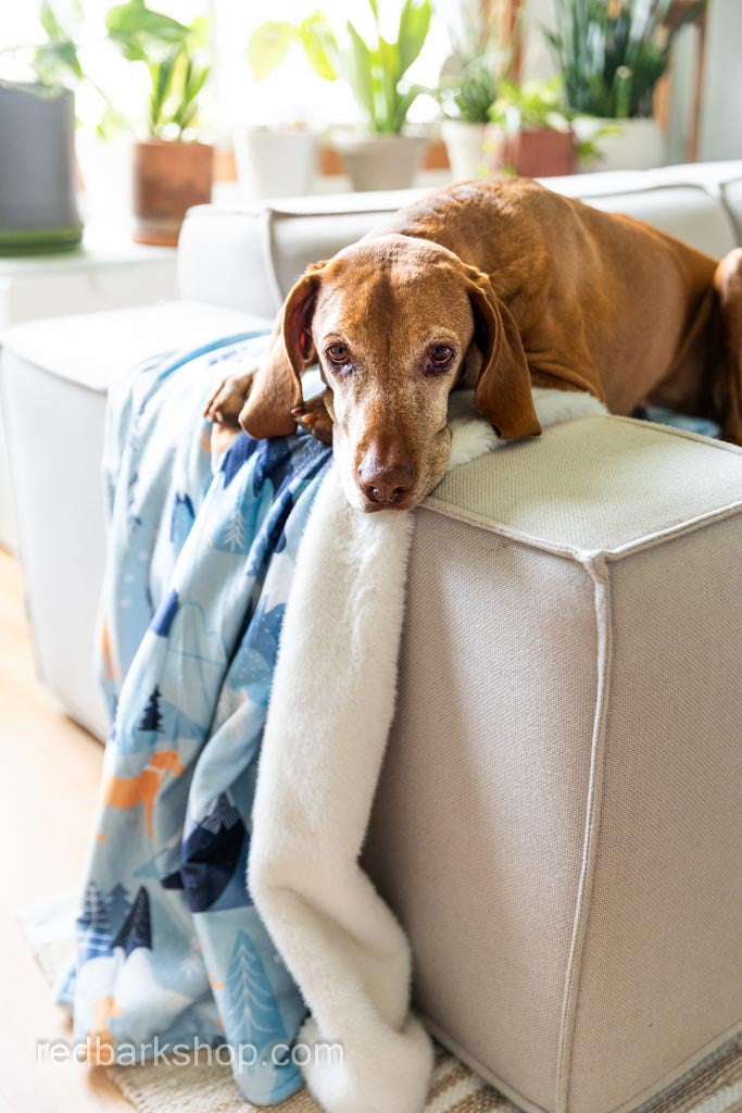 Rocky Mountain Vizsla Luxury Throw