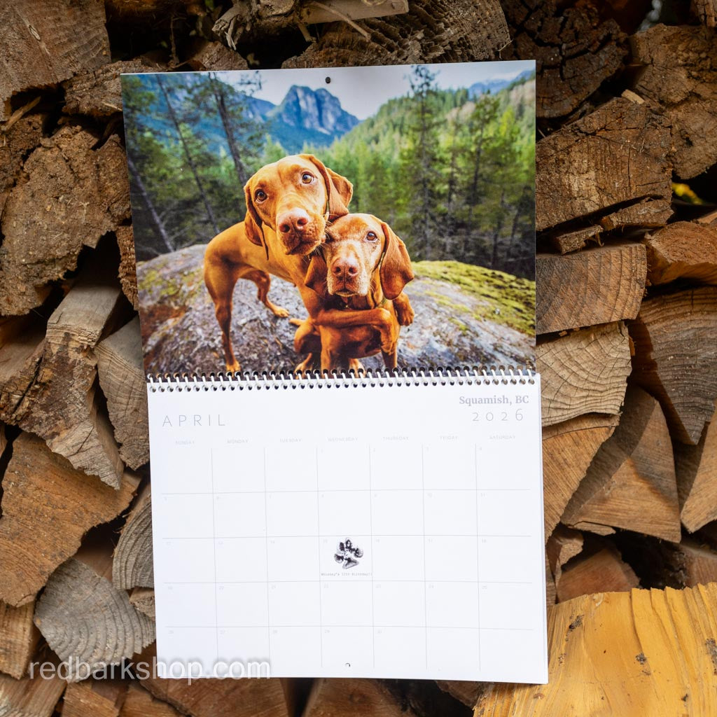My Whisk-e Girl Vizsla Calendar 2026