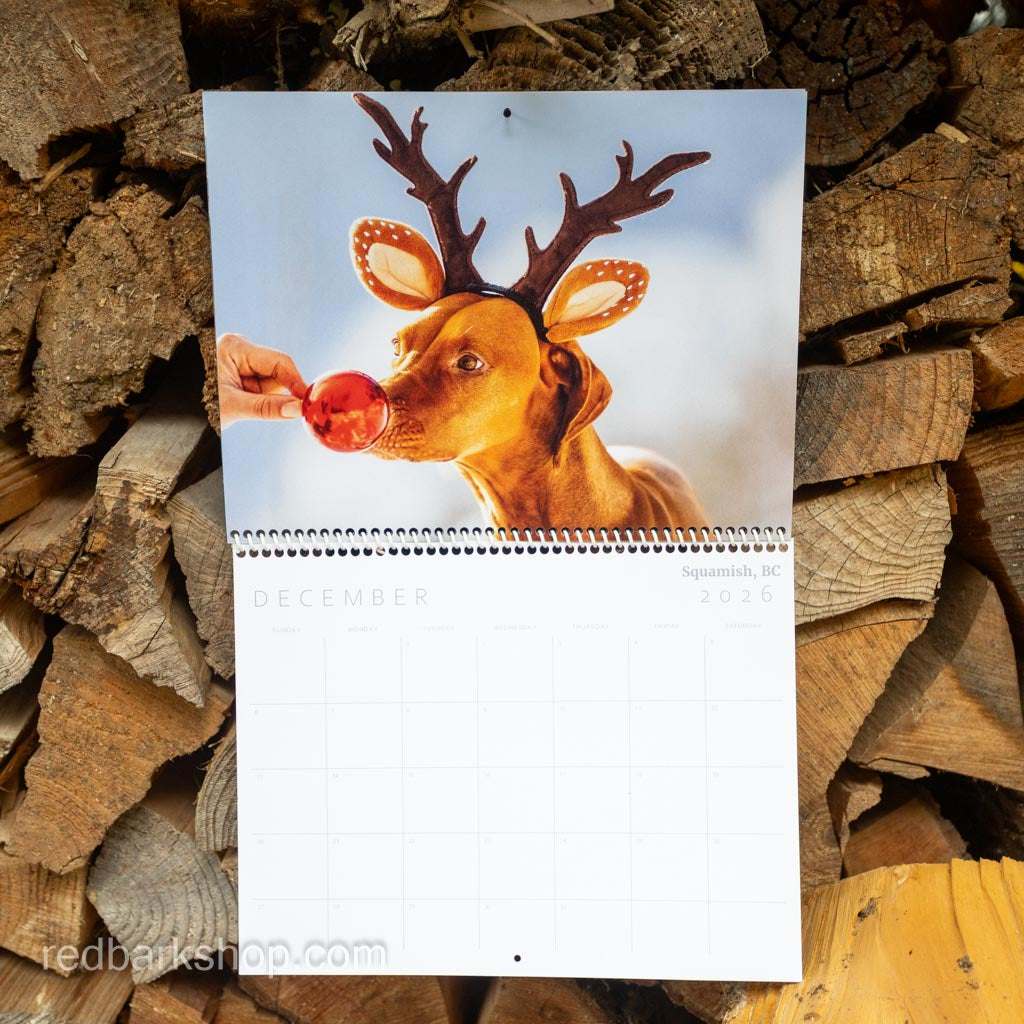 My Whisk-e Girl Vizsla Calendar 2026