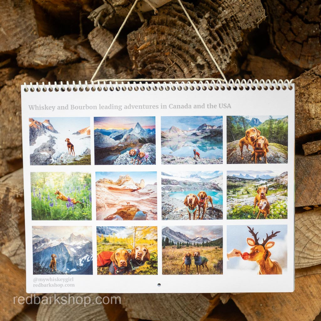 My Whisk-e Girl Vizsla Calendar 2026