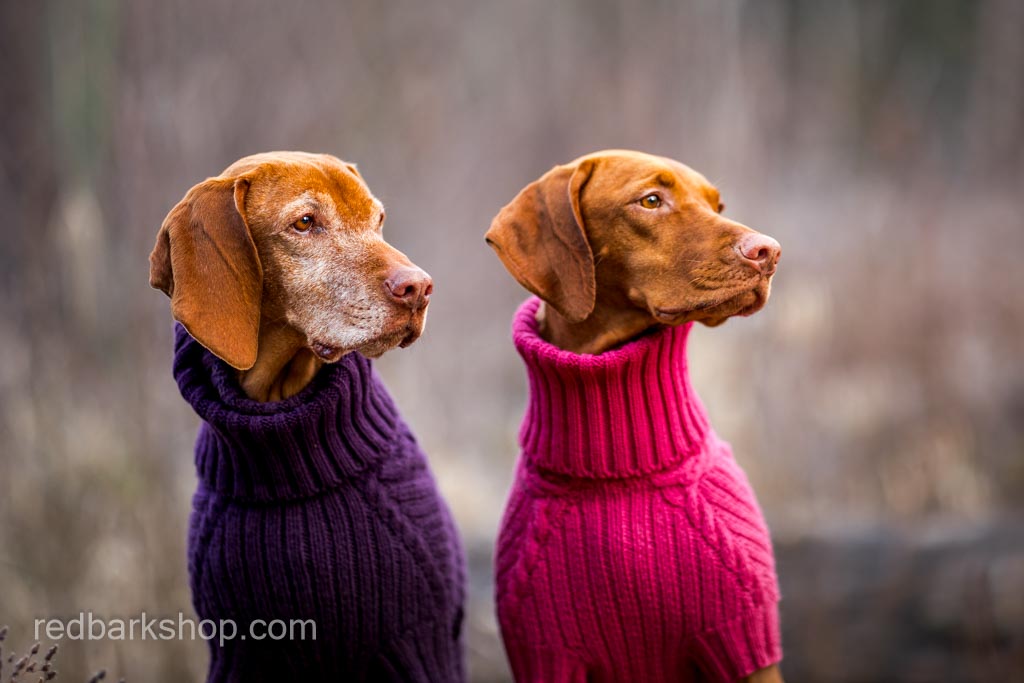 Bravehound Hand-knitted Bird Dog Sweater