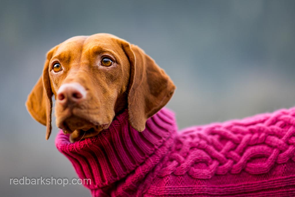 Bravehound Hand-knitted Bird Dog Sweater