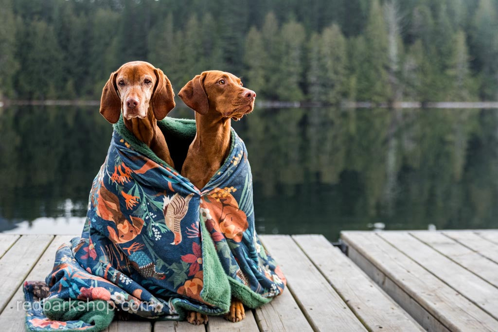 Vizsla and Upland Birds Luxury Throw