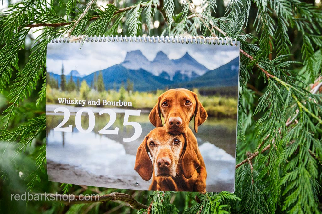 My Whisk-e Girl Vizsla Calendar 2025