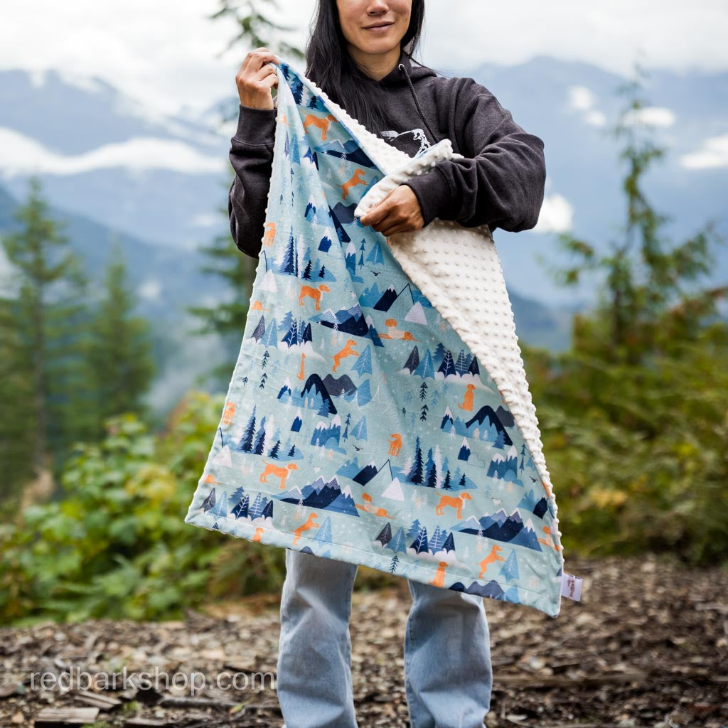 Rocky Mountain Vizsla Baby Blanket