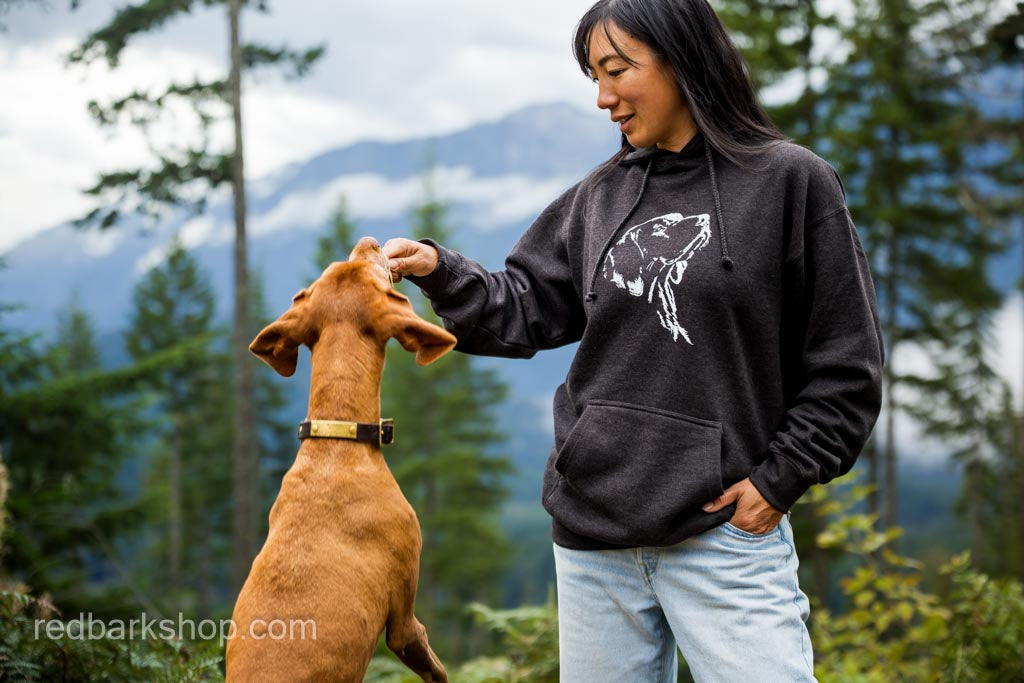 Her Silhouette Vizsla Hoodie
