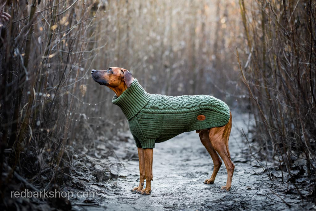Bravehound Hand-knitted Dog Sweater