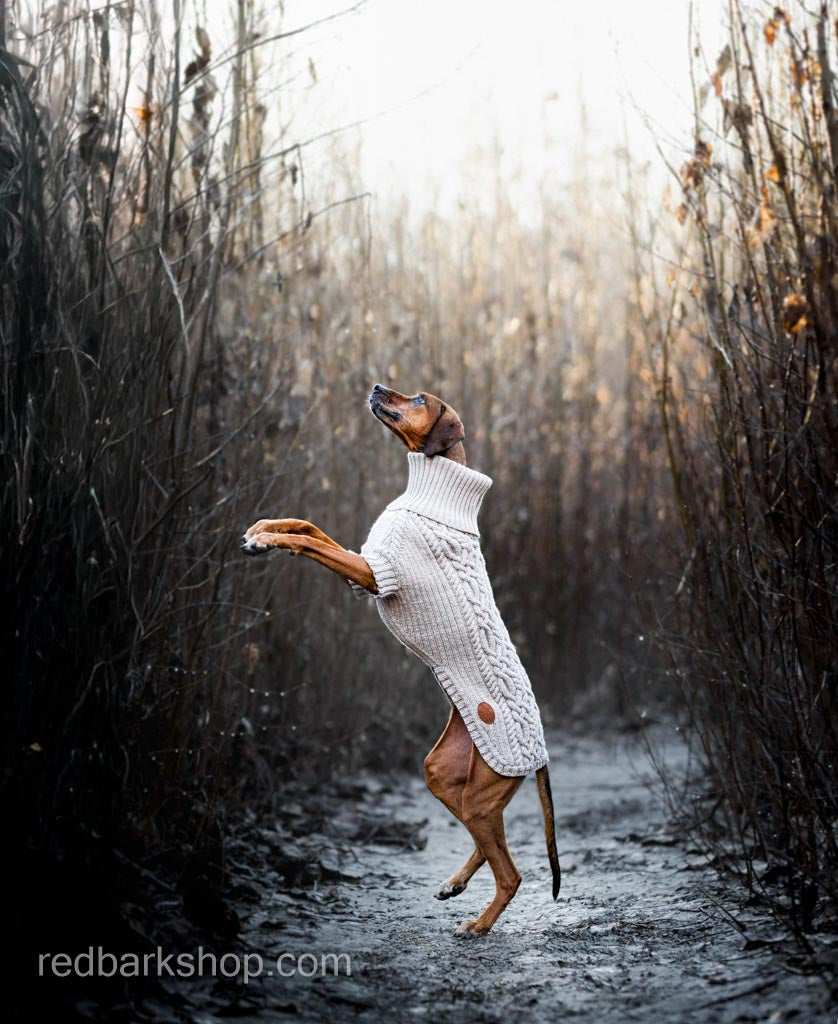 Bravehound Hand-knitted Dog Sweater