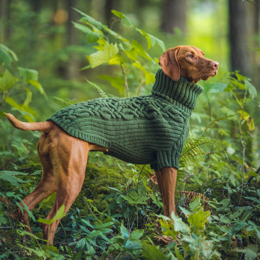 Bravehound Hand-knitted Bird Dog Sweater - Red Bark Shop