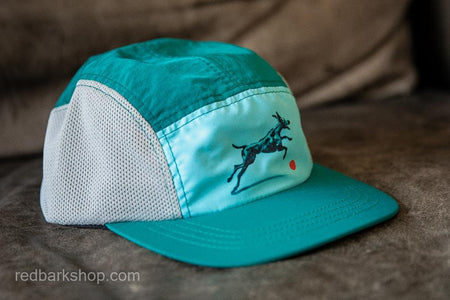 crushable Runners hat for dog lover in turquoise