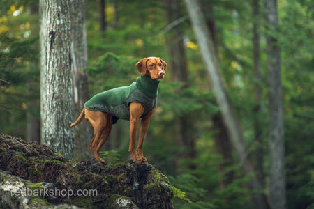 Bravehound dog jacket vest in forest green