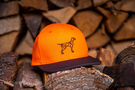 Front view of blaze orange hunting dog hat for pointing dog lovers